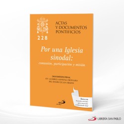 POR UNA IGLESIA SINODAL  COMUNION PARTICIPACION Y MISION  228 – SAN PABLO