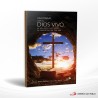 CAMINAR CON EL DIOS VIVO – SAN PABLO