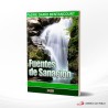 FUENTES DE SANACION – REMA