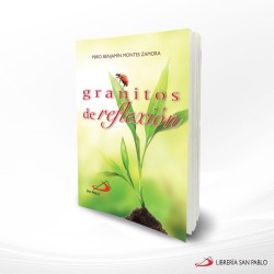 GRANITOS DE REFLEXION 2 BOLSILLO – SAN PABLO