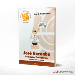 MANUAL JOSE DE BERNABE PRINCIPIOS PEDAGOGICOS – REMA