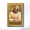 SAN RAFAEL ARNAIZ OBRAS COMPLETAS – MONTE CARMELO