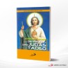 ATENCION PASTORAL A LA DEVOCION A SAN JUDAS TADEO – SAN PABLO